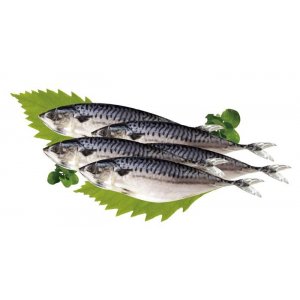挪威薄鹽鯖魚(尾)