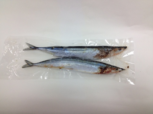 秋刀魚 (1).jpg