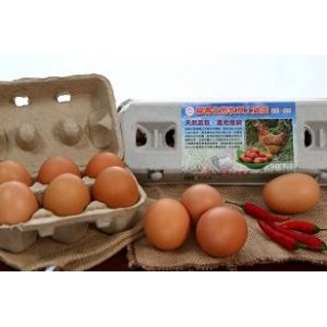 蛋-放牧雞蛋(6入)
