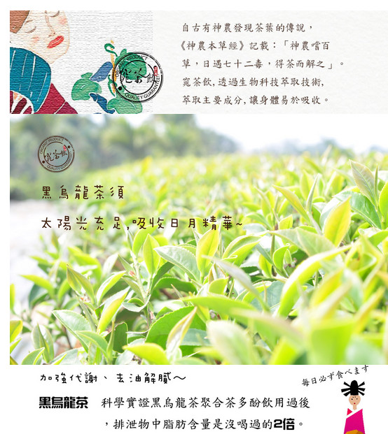 窕茶飲(烏龍茶粉)1.jpg